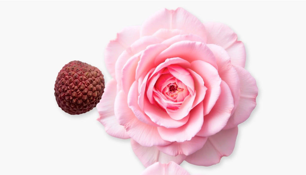 Parfums De Marly Delina